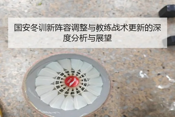 国安冬训新阵容调整与教练战术更新的深度分析与展望 - Shengshi